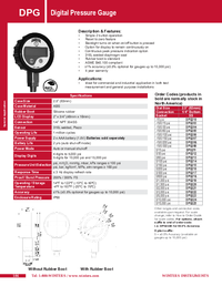Thumbnail of document Data Sheet - DPG Digital Pressure Gauge